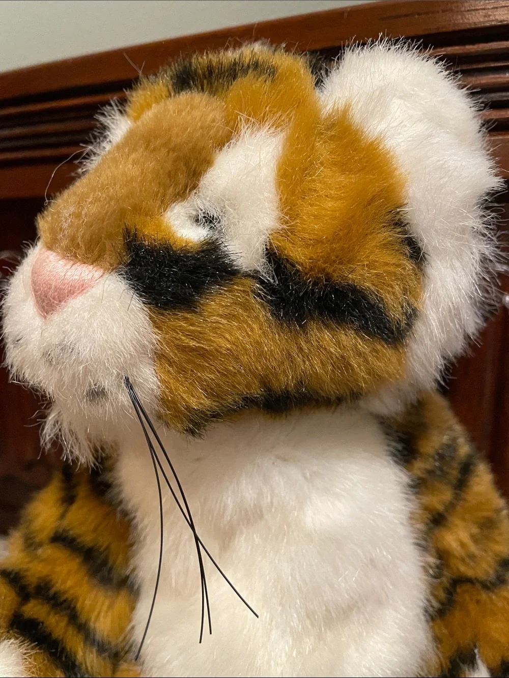 Boyd’s plush tiger cat.